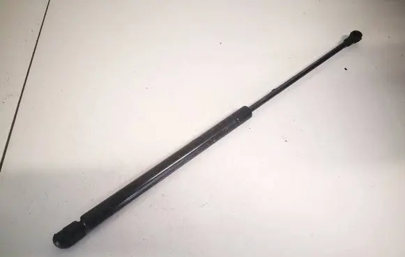Tailgate/trunk strut/damper