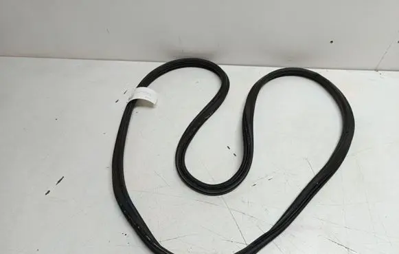 BMW 2 F22 F23 Trunk rubber seal (body) 7304538