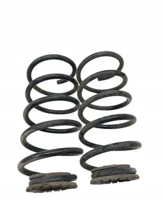 Rear coil spring