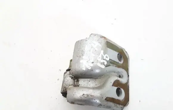 Rear door lower hinge
