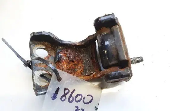 Ford Transit Rear door lower hinge