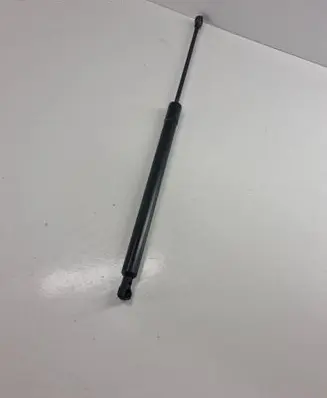 Tailgate/trunk strut/damper