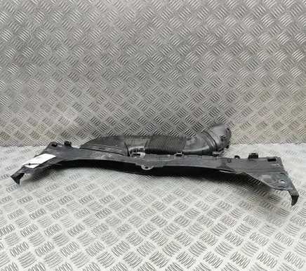 Mercedes-Benz C W205 Radiator trim A2055000055 A6510903242