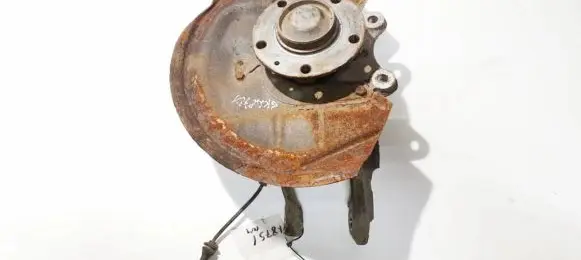 Citroen C5 Rear wheel hub