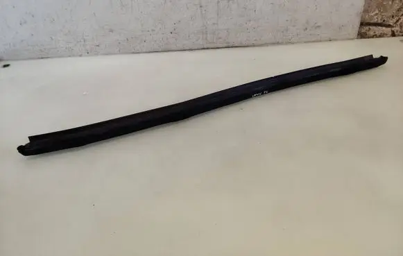 Opel Insignia A Rubber seal front door window/glass 