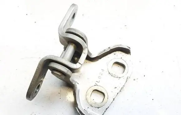 Rear door lower hinge