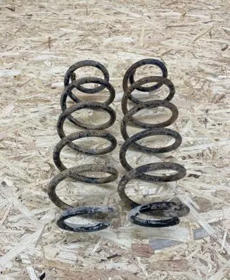 Rear coil spring