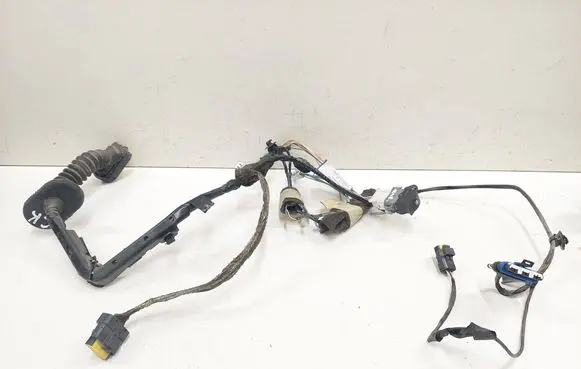 Renault Espace - Grand espace IV Rear door wiring loom 8200517585