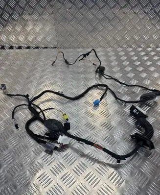Audi Q5 SQ5 Front door wiring loom 80A971029AA