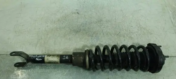 Mercedes-Benz CLS C219 Front shock absorber/damper A2193200813