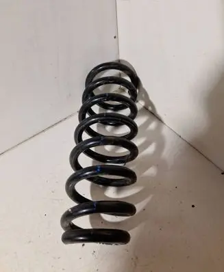 Rear coil spring