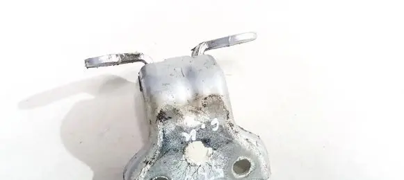 Opel Antara Rear door lower hinge