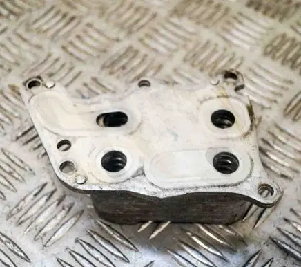 Peugeot 207 Engine oil radiator 81583177