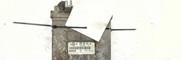 Renault Master II Engine control unit/module ECU 0289060216H