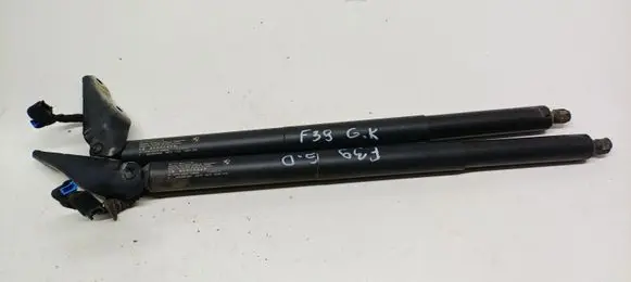 BMW X2 F39 Tailgate/trunk strut/damper 17893910