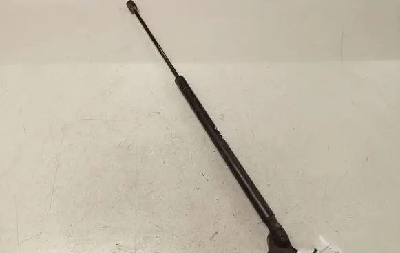 Ford C-MAX I Tailgate/trunk strut/damper 3M5TR406A10AB