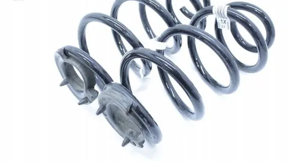 Rear coil spring