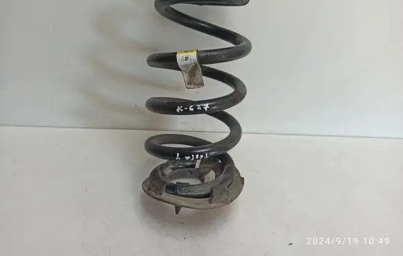 Tesla Model Y Rear coil spring 118847500D