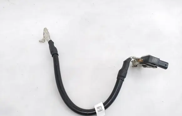 Volkswagen ID.3 Negative earth cable (battery) 1EA915181B