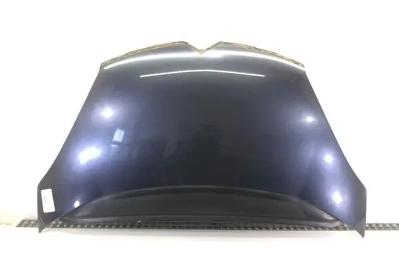 Engine bonnet/hood