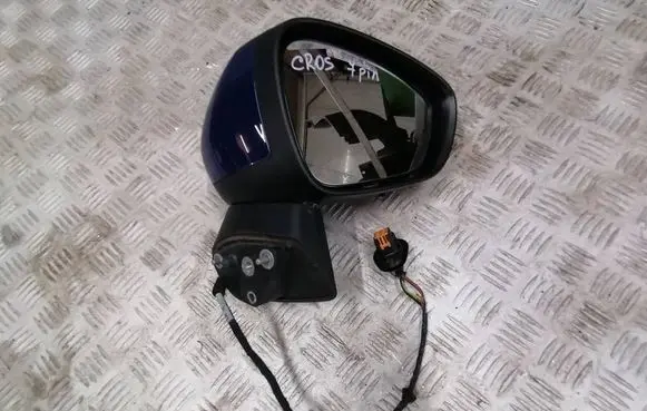Front door electric wing mirror