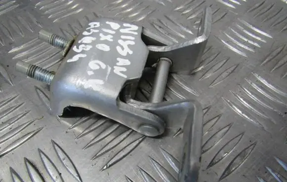 Rear door lower hinge