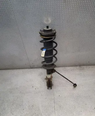 MG ZS Front shock absorber/damper 10886193