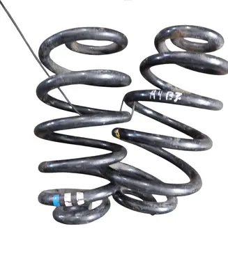 Rear coil spring