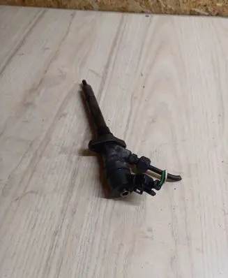 Peugeot 607 Fuel injector 0445110036
