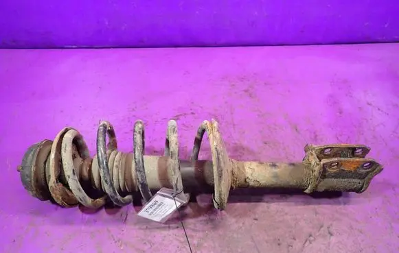 Dacia Logan I Front shock absorber with coil spring 