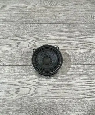 BMW X3 F25 Front door speaker 9209185