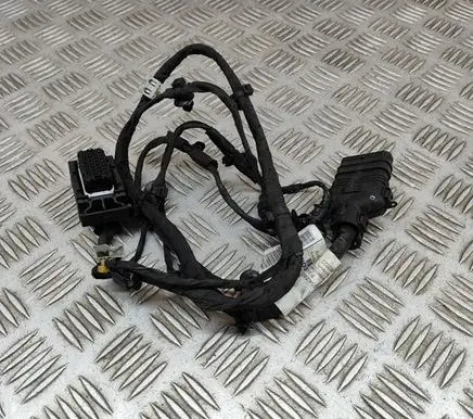Mercedes-Benz EQE v295 Other wiring loom A2975405801