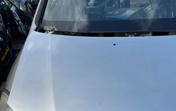 Toyota Avensis Verso Bonnet wind deflector 