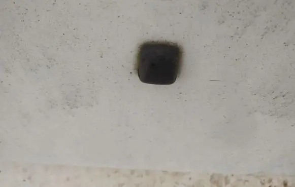 Windshield washer spray nozzle