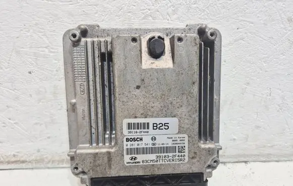 Hyundai Santa Fe Engine control unit/module 0281017541