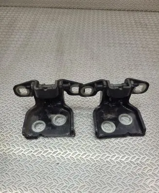 Dacia Duster Rear door hinge set 26R 76R