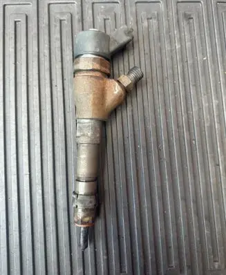 Peugeot Partner Fuel injector 0445110008