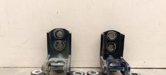 Renault Kadjar Rear door hinge set A046574