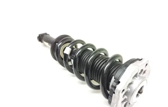 BMW X3 G01 Rear shock absorber with coil spring 6871802 G01H104S 169978
