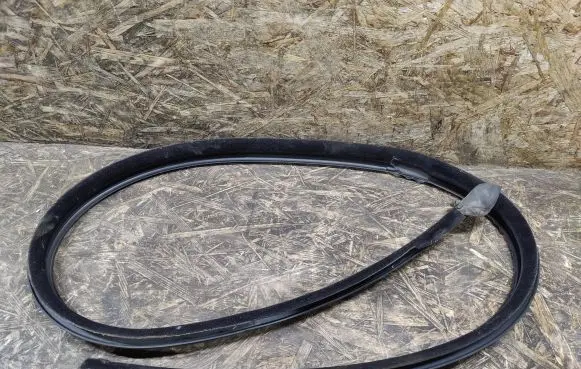 Mercedes-Benz S W140 Front door rubber seal 1407200854