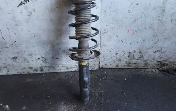 Skoda Octavia Mk2 (1Z) Front shock absorber with coil spring