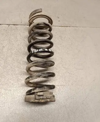 Rear coil spring