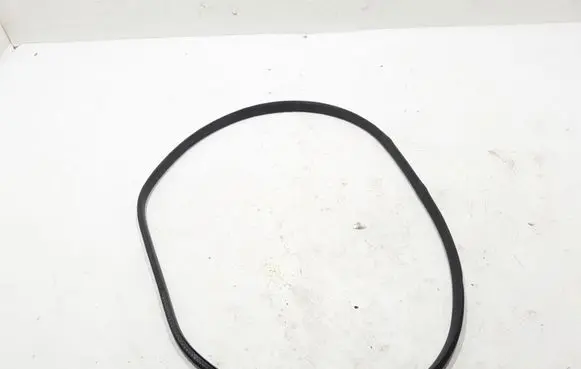 Renault Captur II Rear door rubber seal (on body) 769238549R