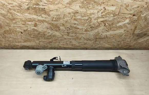 Porsche Cayenne (9Y0 9Y3) Rear shock absorber/damper 9Y0513027F 9Y0513027