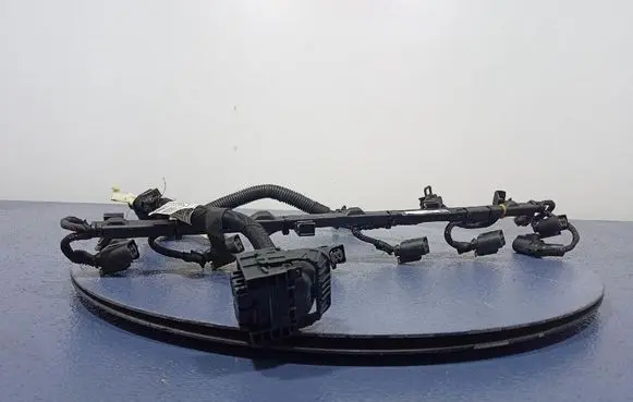 BMW X5 E53 Other wiring loom 8589984