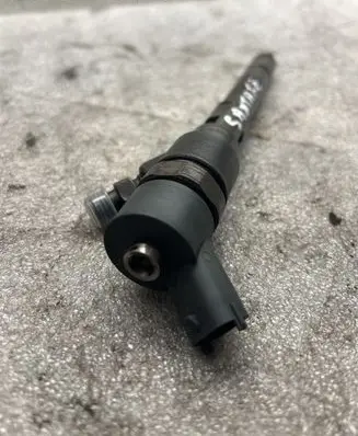 Hyundai Santa Fe Fuel injector 0445110254