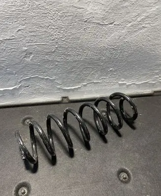 Volkswagen PASSAT B6 Rear coil spring