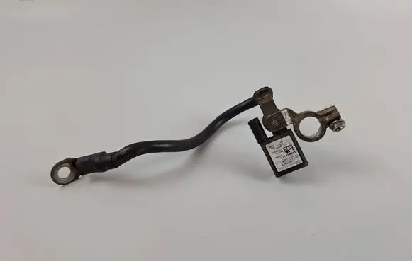 Mercedes-Benz C W204 Negative earth cable (battery) A1665420218