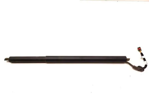 Tailgate strut