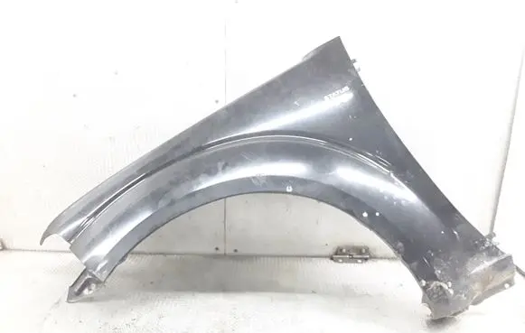 Nissan Pathfinder R51 Fender